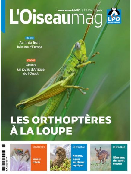 L'OISEAU MAG