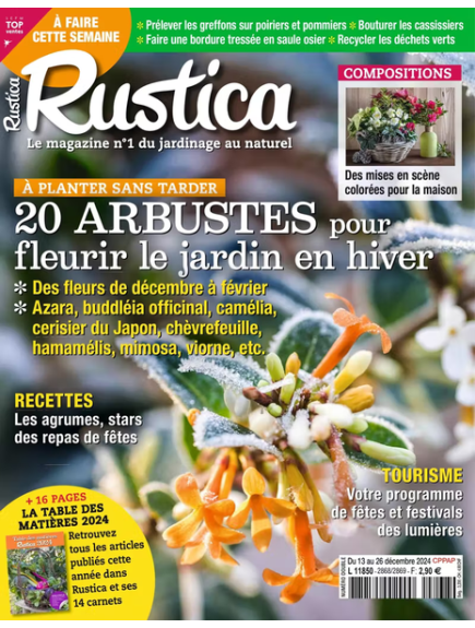 RUSTICA