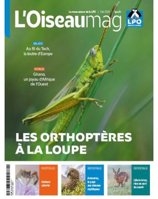 L'OISEAU MAG