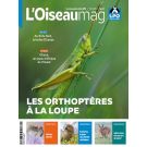 L'OISEAU MAG