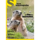 SALAMANDRE