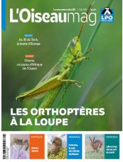 L'OISEAU MAG